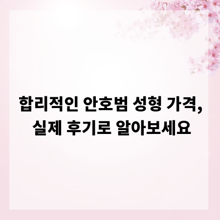 합리적인 안호범 성형 가격, 실제 후기로 알아보세요