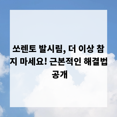 쏘렌토 발시림, 더 이상 참지 마세요! 근본적인 해결법 공개