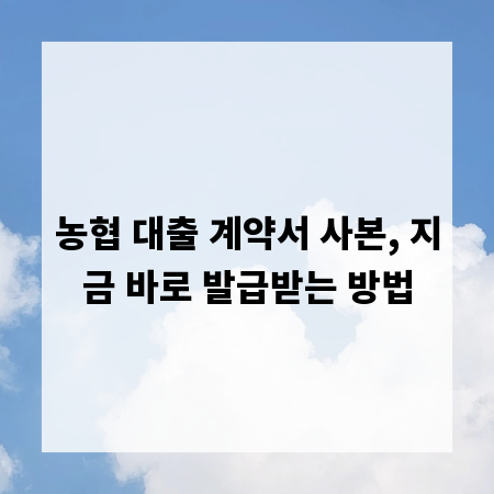 농협 대출 계약서 사본, 지금 바로 발급받는 방법
