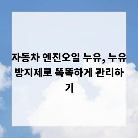 자동차 엔진오일 누유, 누유방지제로 똑똑하게 관리하기