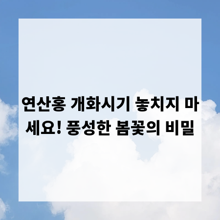 연산홍 개화시기 놓치지 마세요! 풍성한 봄꽃의 비밀