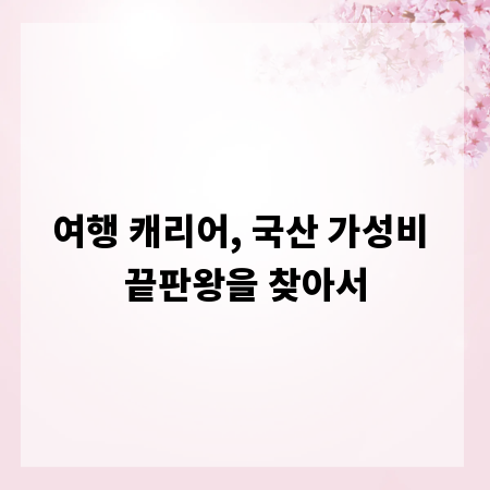 여행 캐리어, 국산 가성비 끝판왕을 찾아서