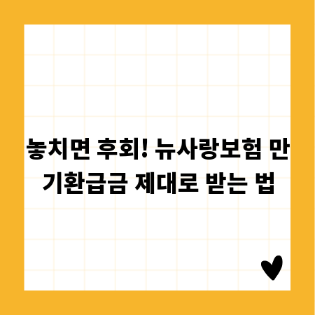 놓치면 후회! 뉴사랑보험 만기환급금 제대로 받는 법