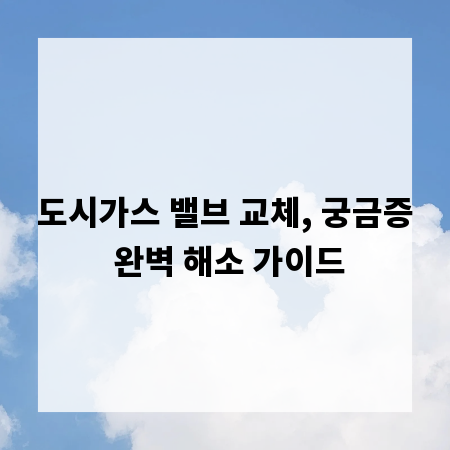 도시가스 밸브 교체, 궁금증 완벽 해소 가이드