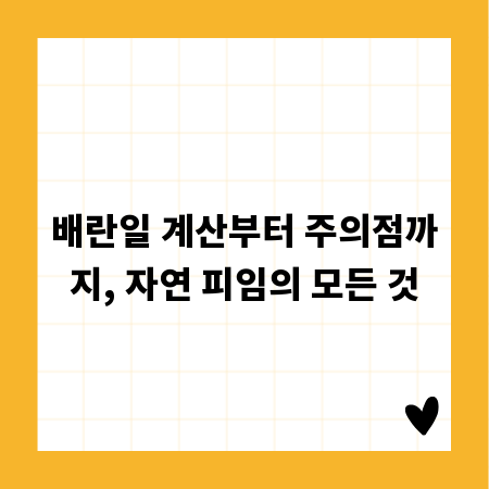 배란일 계산부터 주의점까지, 자연 피임의 모든 것