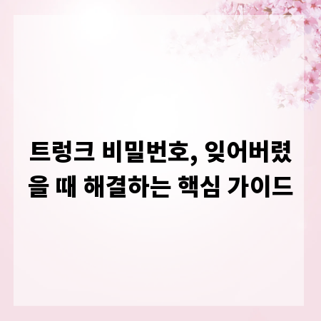 트렁크 비밀번호, 잊어버렸을 때 해결하는 핵심 가이드