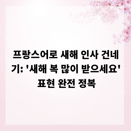 프랑스어로 새해 인사 건네기: '새해 복 많이 받으세요' 표현 완전 정복