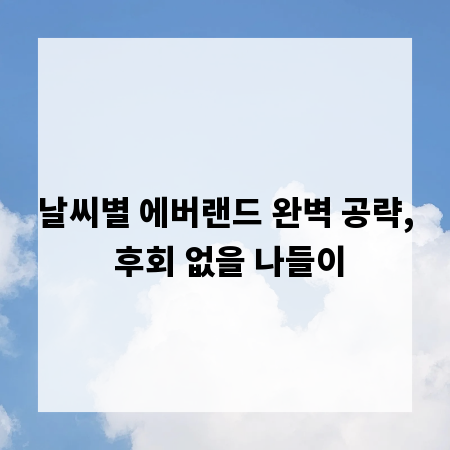 날씨별 에버랜드 완벽 공략, 후회 없을 나들이