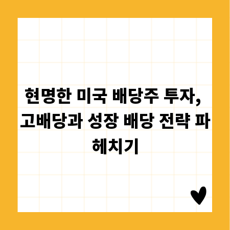 현명한 미국 배당주 투자, 고배당과 성장 배당 전략 파헤치기