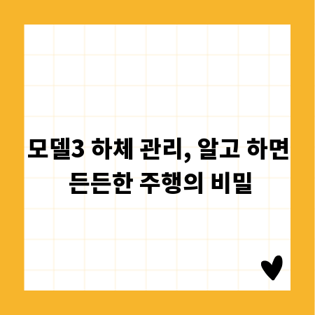 모델3 하체 관리, 알고 하면 든든한 주행의 비밀