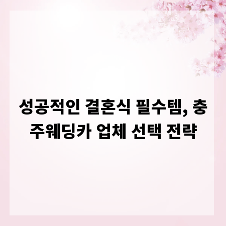 성공적인 결혼식 필수템, 충주웨딩카 업체 선택 전략