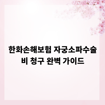 한화손해보험 자궁소파수술비 청구 완벽 가이드