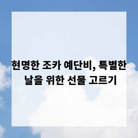 현명한 조카 예단비, 특별한 날을 위한 선물 고르기