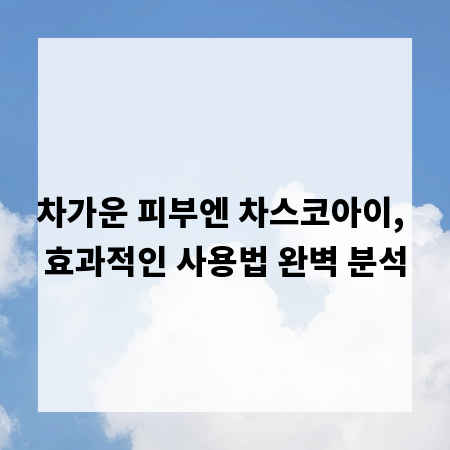 차가운 피부엔 차스코아이, 효과적인 사용법 완벽 분석