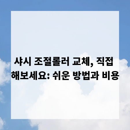 샤시 조절롤러 교체, 직접 해보세요: 쉬운 방법과 비용