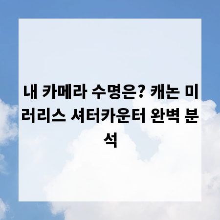내 카메라 수명은? 캐논 미러리스 셔터카운터 완벽 분석