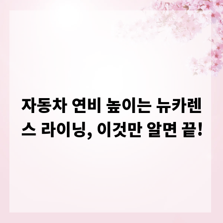자동차 연비 높이는 뉴카렌스 라이닝, 이것만 알면 끝!