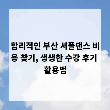 합리적인 부산 셔플댄스 비용 찾기, 생생한 수강 후기 활용법