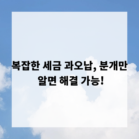 복잡한 세금 과오납, 분개만 알면 해결 가능!