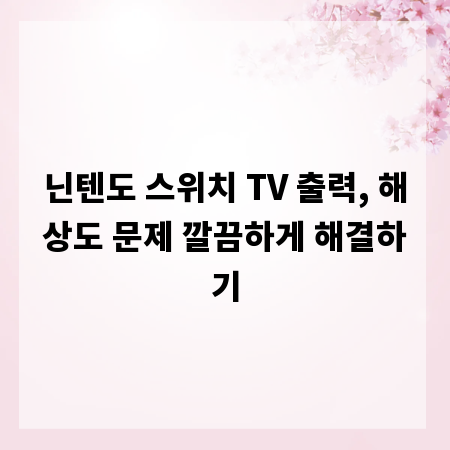 닌텐도 스위치 TV 출력, 해상도 문제 깔끔하게 해결하기