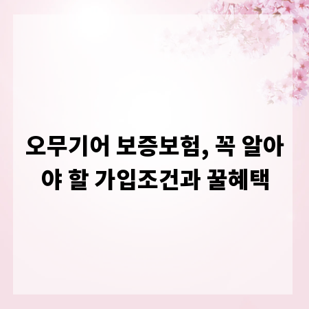오무기어 보증보험, 꼭 알아야 할 가입조건과 꿀혜택