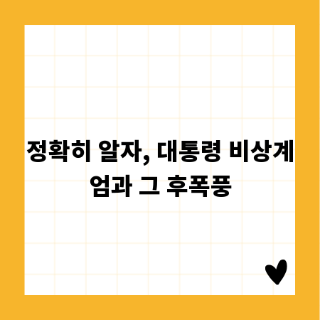 정확히 알자, 대통령 비상계엄과 그 후폭풍