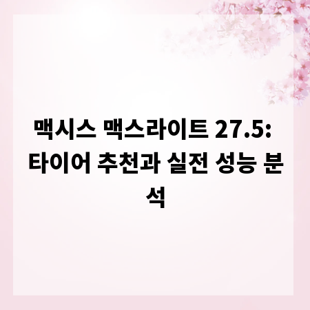 맥시스 맥스라이트 27.5: 타이어 추천과 실전 성능 분석