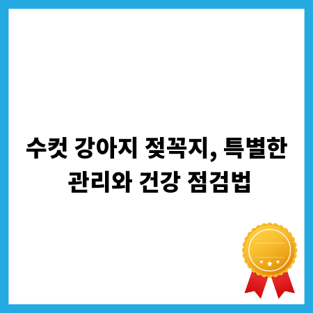 수컷 강아지 젖꼭지, 특별한 관리와 건강 점검법