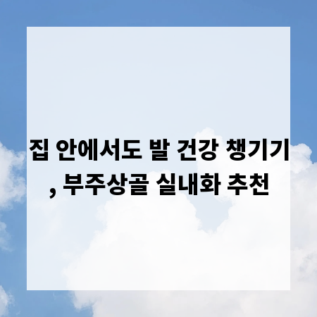 집 안에서도 발 건강 챙기기, 부주상골 실내화 추천