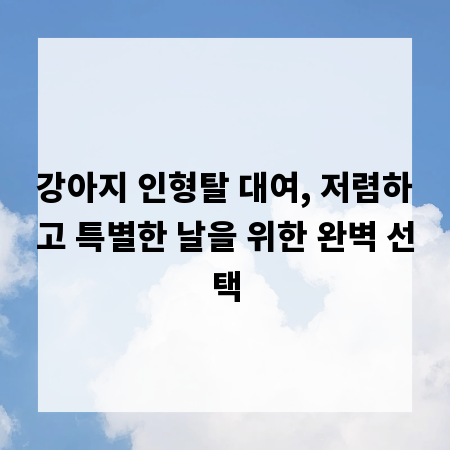 강아지 인형탈 대여, 저렴하고 특별한 날을 위한 완벽 선택