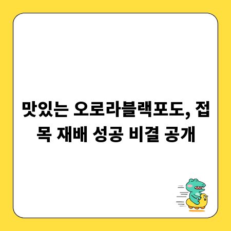 맛있는 오로라블랙포도, 접목 재배 성공 비결 공개