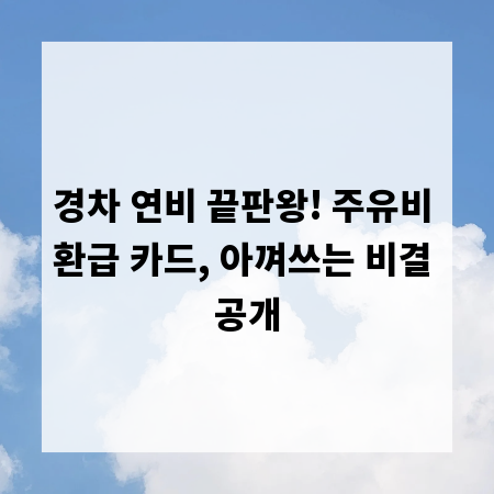 경차 연비 끝판왕! 주유비 환급 카드, 아껴쓰는 비결 공개