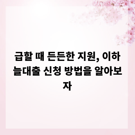 급할 때 든든한 지원, 이하늘대출 신청 방법을 알아보자