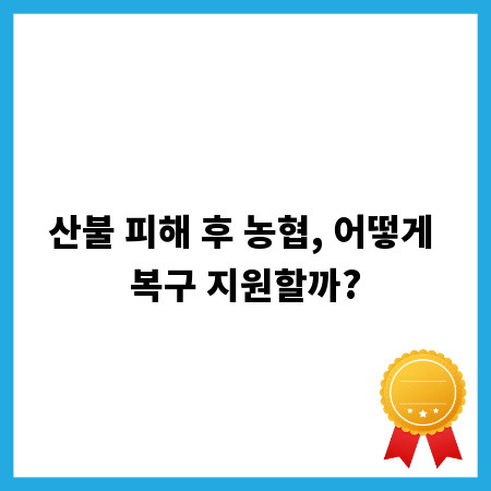 산불 피해 후 농협, 어떻게 복구 지원할까?