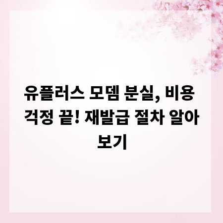 유플러스 모뎀 분실, 비용 걱정 끝! 재발급 절차 알아보기
