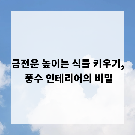 금전운 높이는 식물 키우기, 풍수 인테리어의 비밀