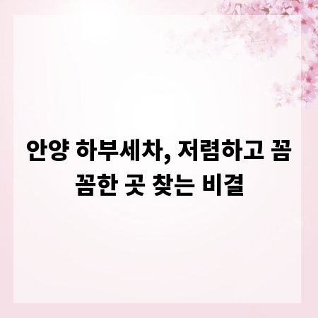안양 하부세차, 저렴하고 꼼꼼한 곳 찾는 비결
