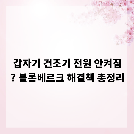 갑자기 건조기 전원 안켜짐? 블롬베르크 해결책 총정리