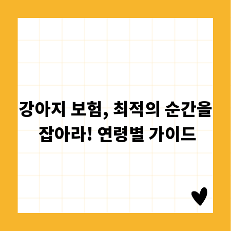 강아지 보험, 최적의 순간을 잡아라! 연령별 가이드