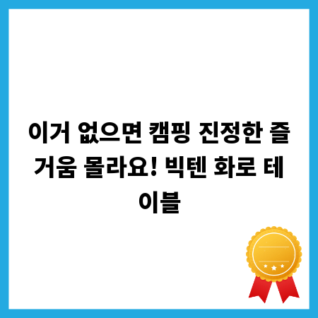 이거 없으면 캠핑 진정한 즐거움 몰라요! 빅텐 화로 테이블