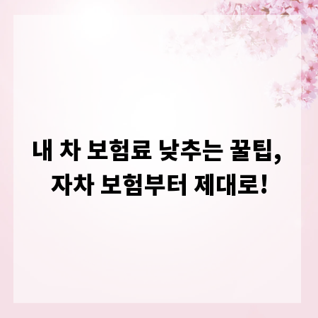 내 차 보험료 낮추는 꿀팁, 자차 보험부터 제대로!