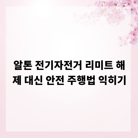 알톤 전기자전거 리미트 해제 대신 안전 주행법 익히기