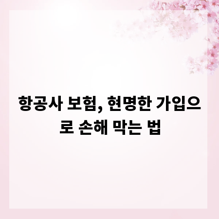 항공사 보험, 현명한 가입으로 손해 막는 법