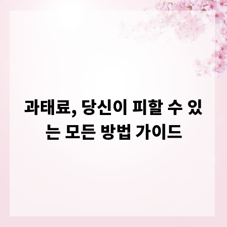 과태료, 당신이 피할 수 있는 모든 방법 가이드