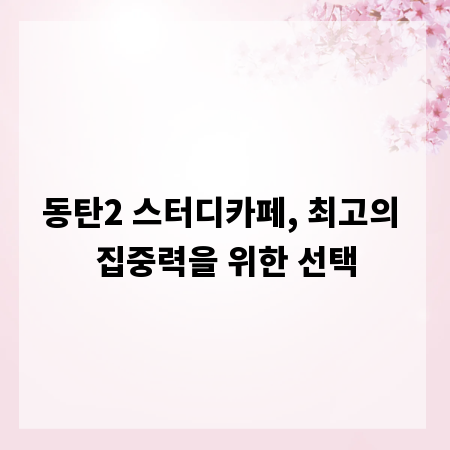 동탄2 스터디카페, 최고의 집중력을 위한 선택