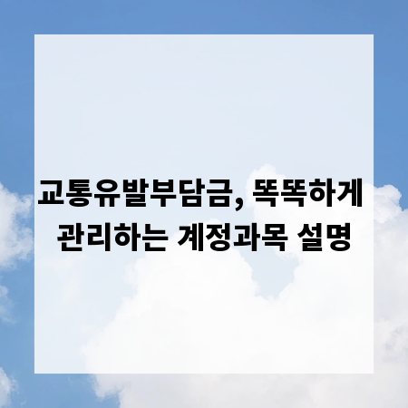 교통유발부담금, 똑똑하게 관리하는 계정과목 설명