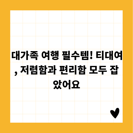 대가족 여행 필수템! 티대여, 저렴함과 편리함 모두 잡았어요