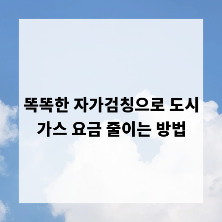 똑똑한 자가검칭으로 도시가스 요금 줄이는 방법