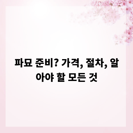 파묘 준비? 가격, 절차, 알아야 할 모든 것