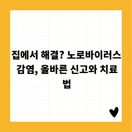 집에서 해결? 노로바이러스 감염, 올바른 신고와 치료법